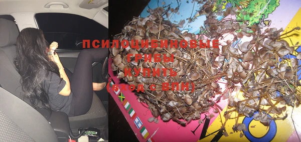 прущая мука Богданович