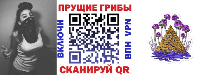 Купить где  Чехов  Псилоцибиновые грибы мицелий 